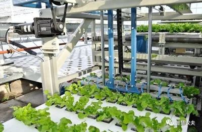 蔬菜無人種植工廠來了,從種植到采收全程自動化